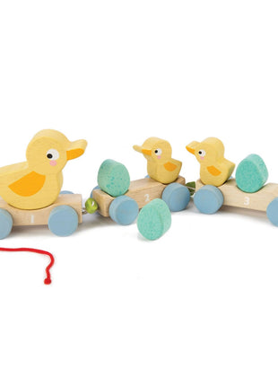 Canards à tirer