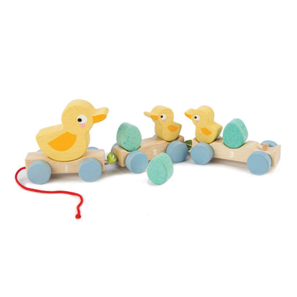 Canards à tirer