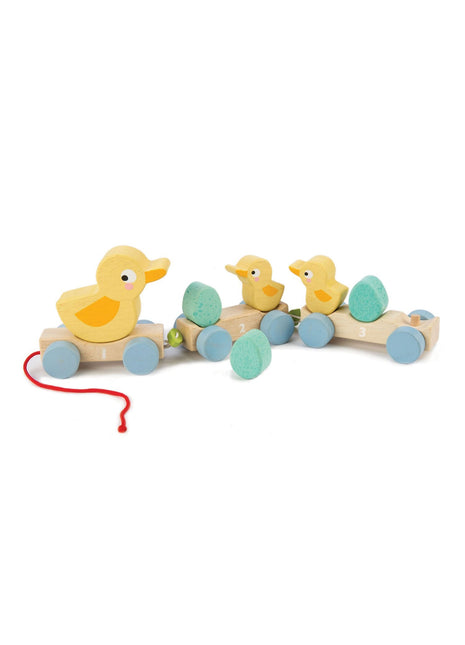 Pull Along Ducks