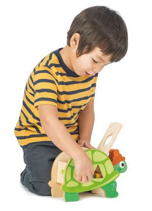 Tortoise Shape Sorter