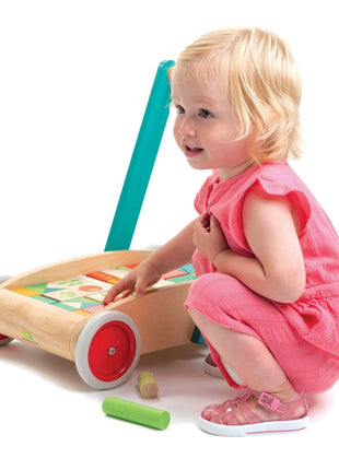 Baby Block Walker