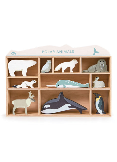 Animaux polaires
