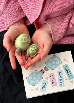 Tortoise Pet Set