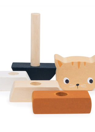 Stacking Kitten
