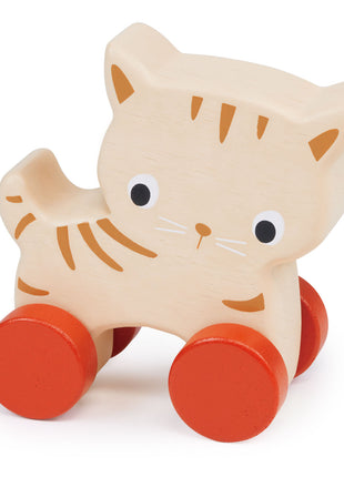 Kitten On Wheels