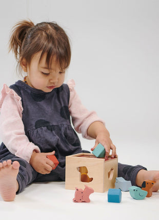 Bambino Shape Sorting Cube