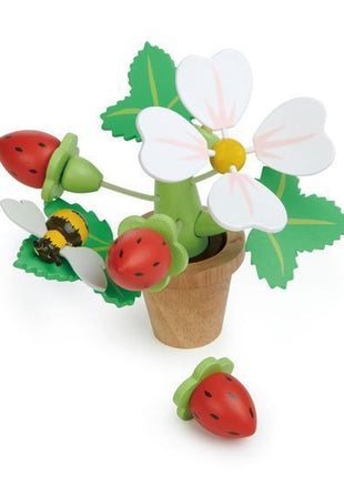 Pot de fleur de fraise