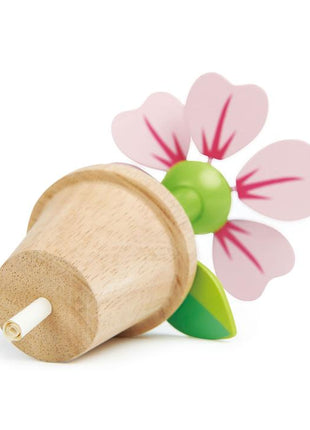 Ensemble de pots de fleurs en fleurs