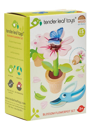 Ensemble de pots de fleurs en fleurs