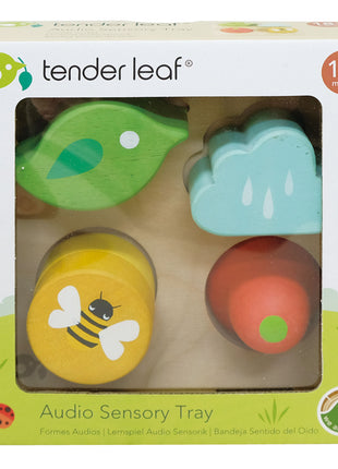 Audio Sensory Tray