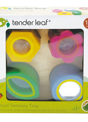 Visual Sensory Tray