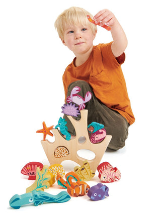 Stacking Coral Reef