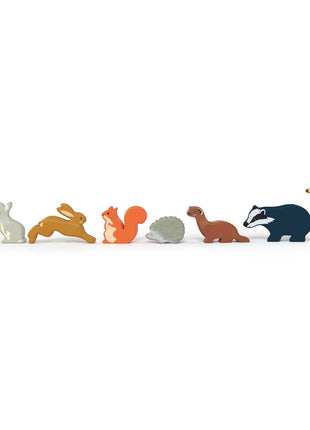 Animaux de la forêt - Écureuil roux