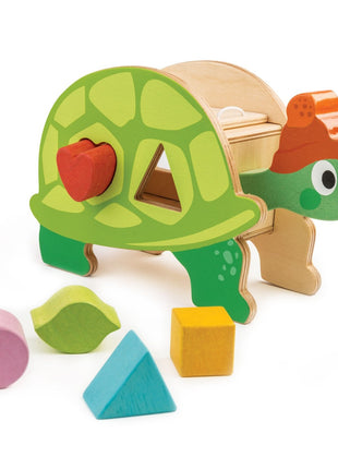 Tortoise Shape Sorter