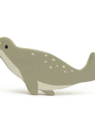 Coastal Animals - Seal