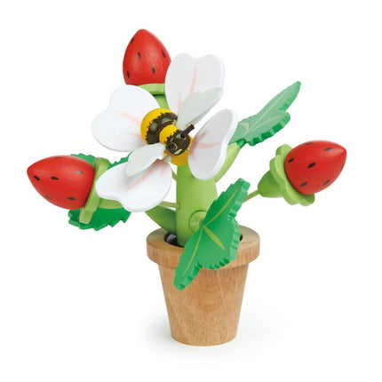 Pot de fleur de fraise