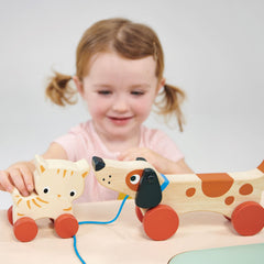 Educational - Puppy On Wheels