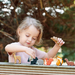 Best Sellers - Woodland Animals - Fox