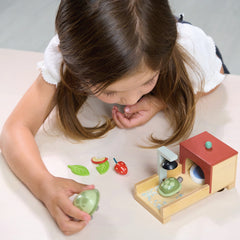 Animals - Tortoise Pet Set