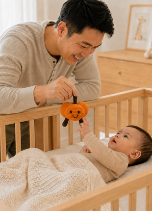 LS2532 - Pumpkin Rattle 4