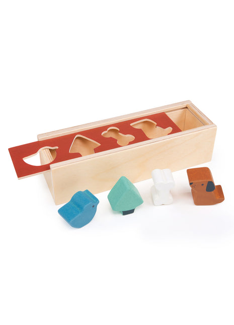 Boîte de tri des formes d'animaux de compagnie