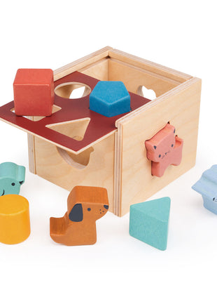 Cube de tri en forme de Bambino