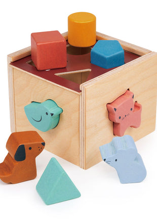 Bambino Shape Sorting Cube