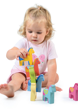 Rainbow Pony Playset