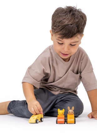 Animal Friends Racing Cars