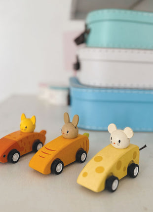 Animal Friends Racing Cars