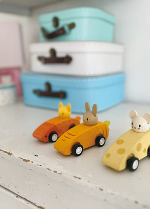 Animal Friends Racing Cars