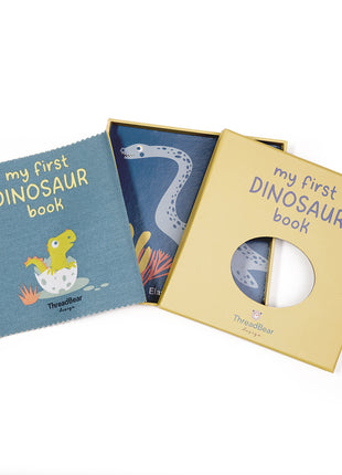 My First Dinosaur Book Rag Book