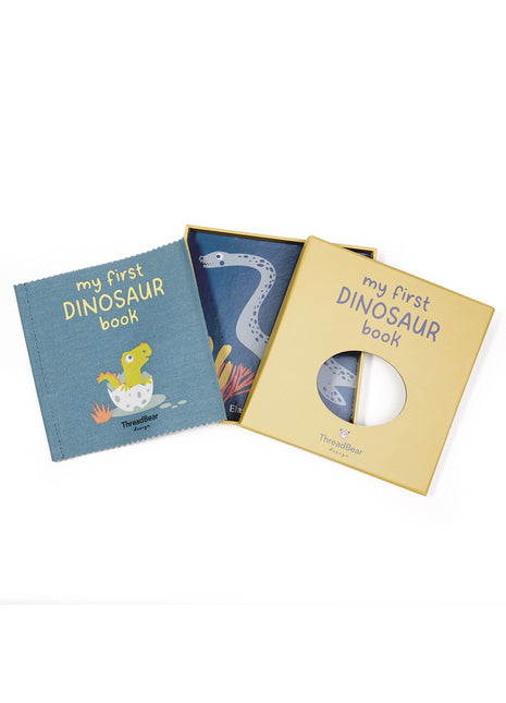 My First Dinosaur Book Rag Book