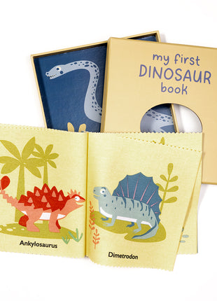 My First Dinosaur Book Rag Book