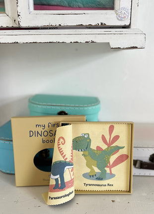 My First Dinosaur Book Rag Book