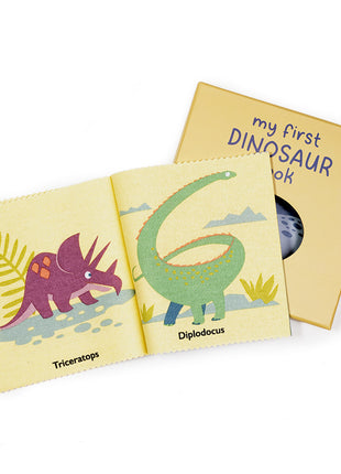 My First Dinosaur Book Rag Book