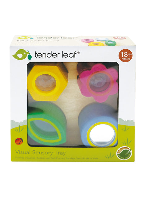 Visual Sensory Tray