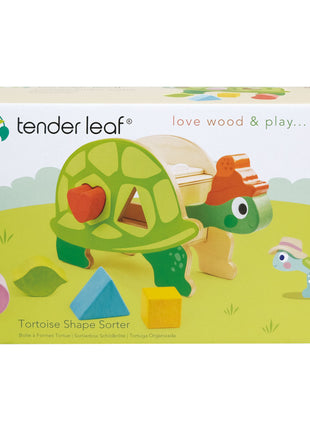 Tortoise Shape Sorter