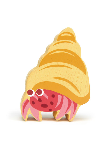 Coastal Animals - Hermit Crab