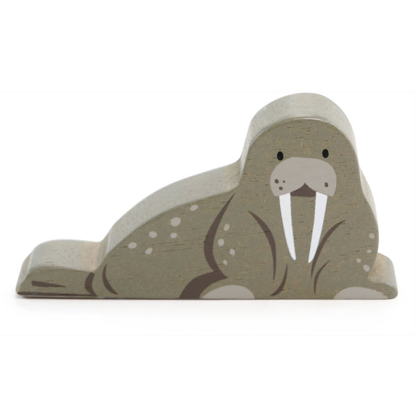 Polar Animals - Walrus
