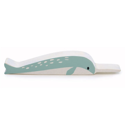 Polar Animals - Narwhal