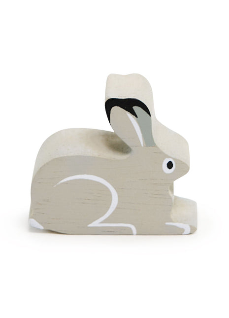 Polar Animals - Snow Hare