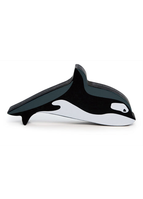 Polar Animals - Orca