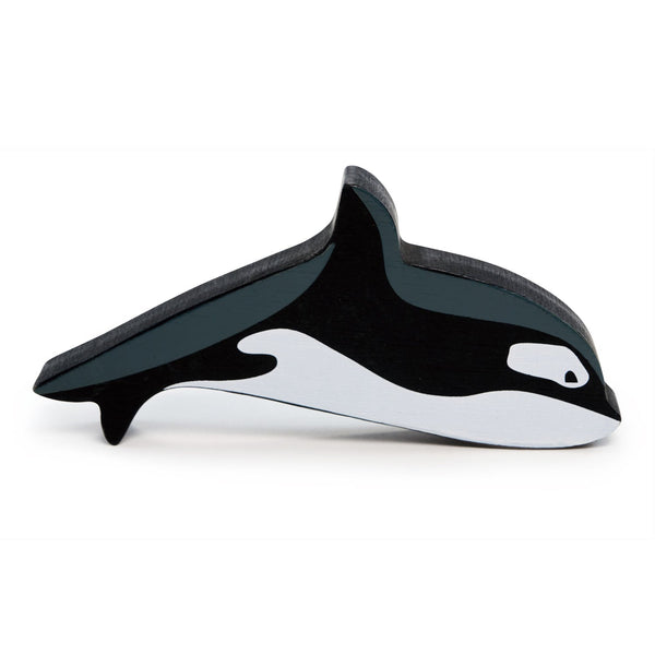 Polar Animals - Orca